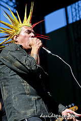 The Casualties