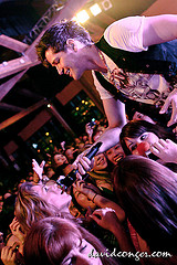 The Script