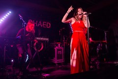 Shaed