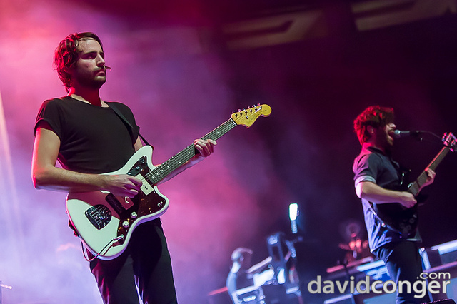 Foals