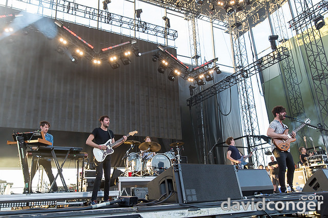 Foals