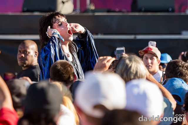 The Struts