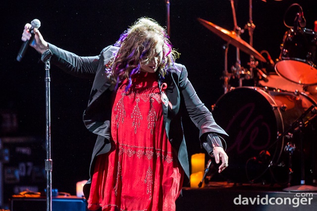 Ann Wilson